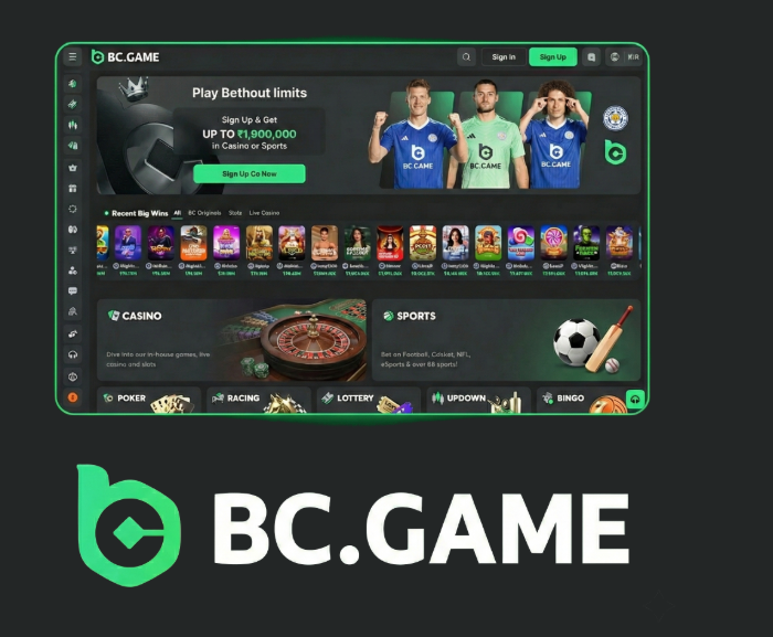 Exploring BC.Game Crypto Casino Platform A New Era in Online Gaming